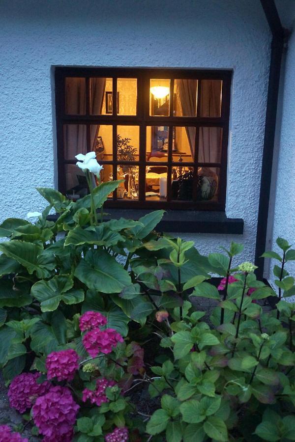 Ivy Cottage B&B Killarney Extérieur photo